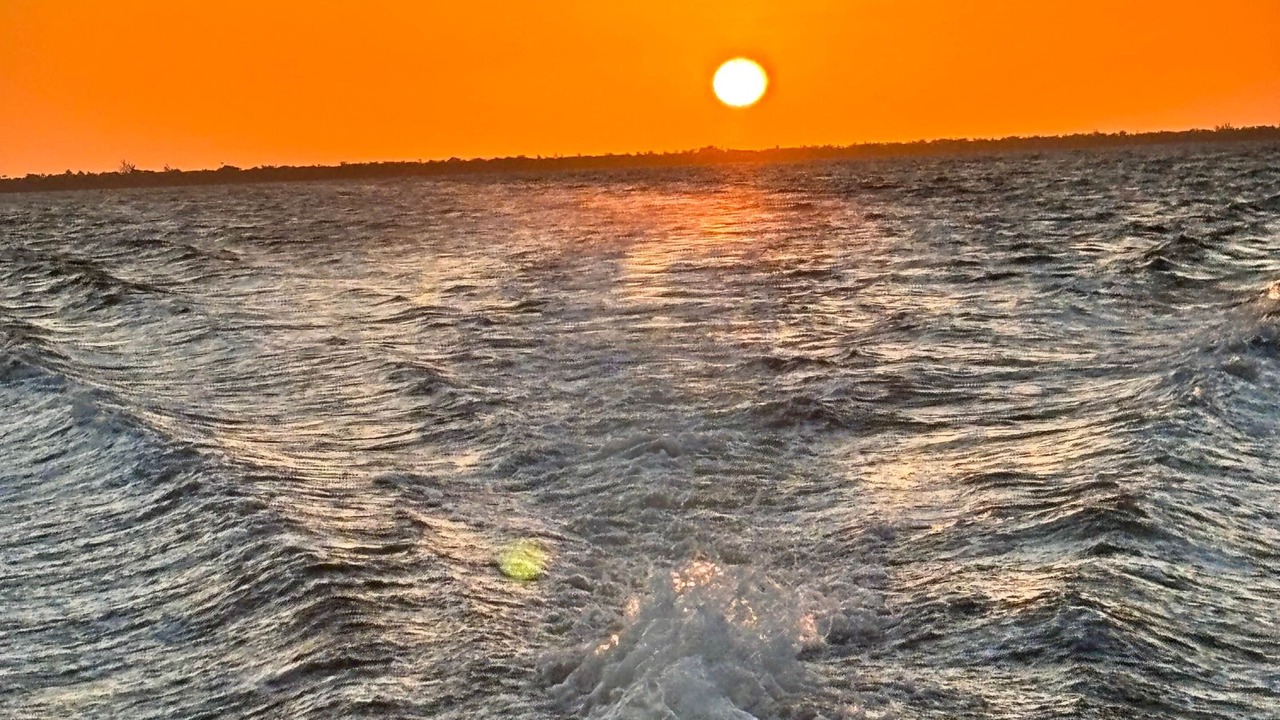 Photo of Others in Fort Myers River District
