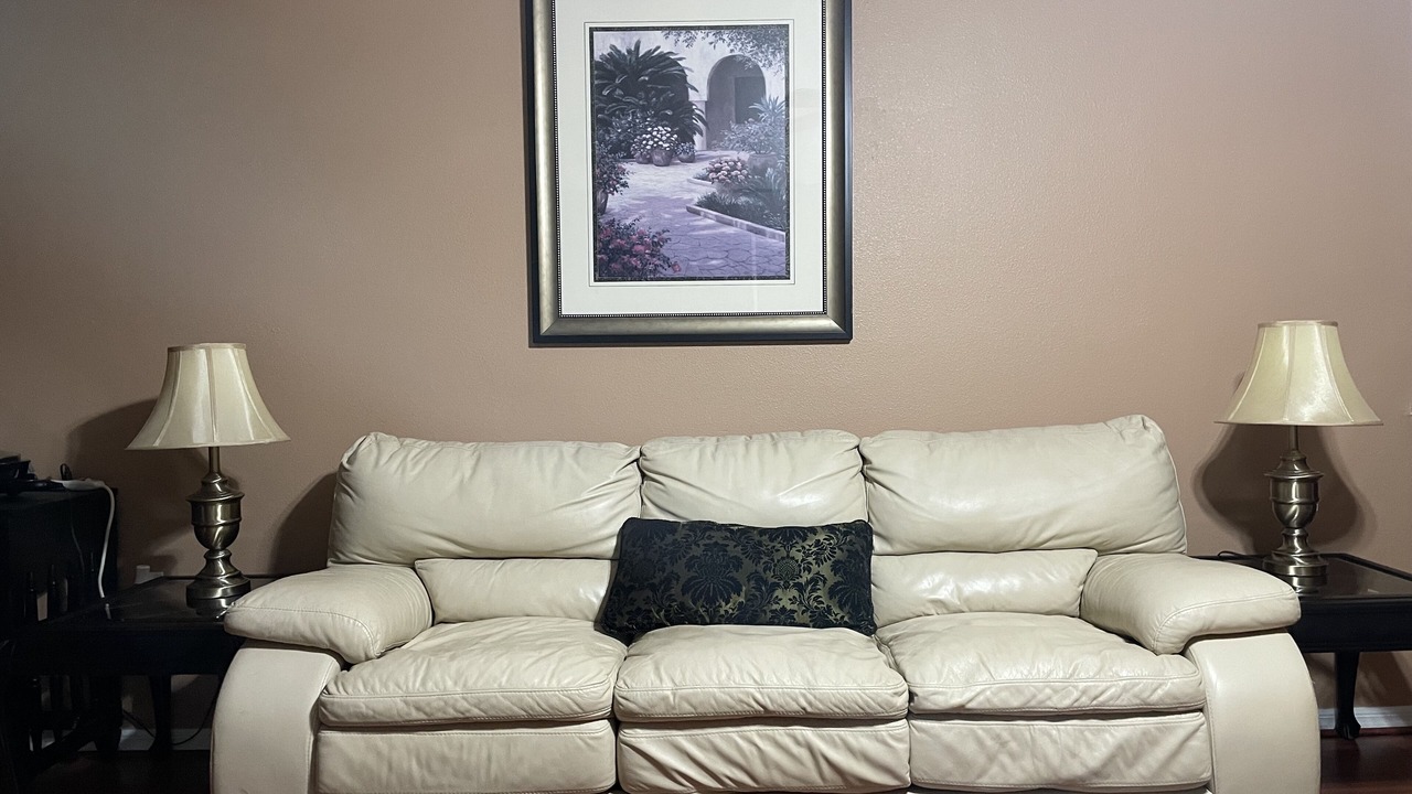 Photo of Livingroom in Lutz
