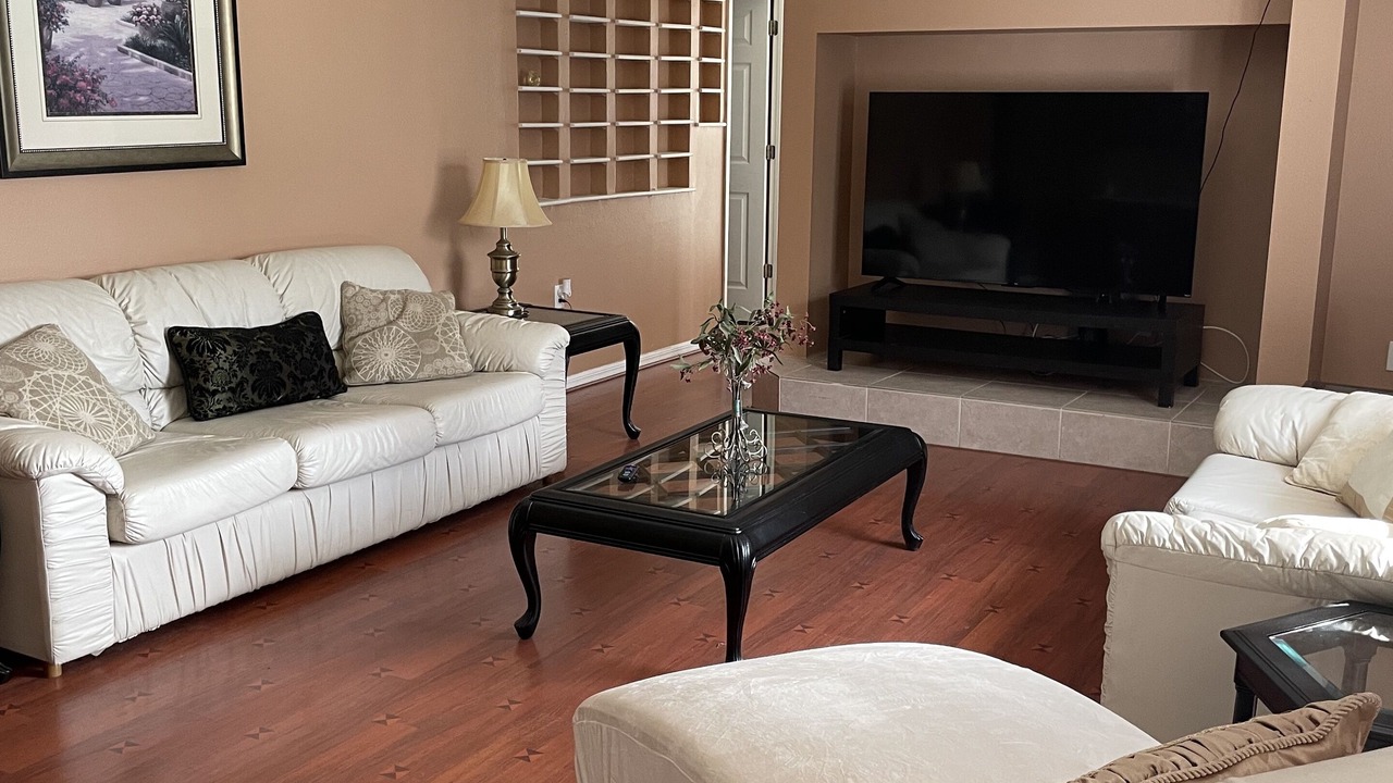 Photo of Livingroom in Lutz