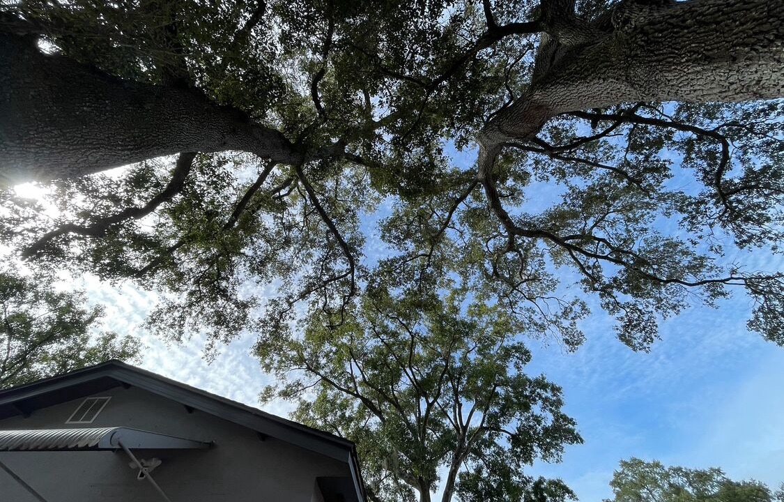 Photo of Others in Tampa