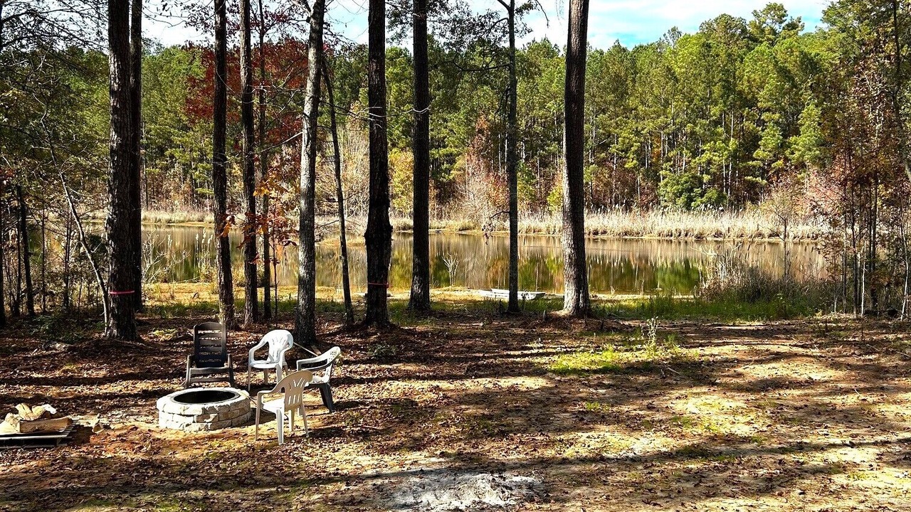 Photo of Outdoor in Georgia Coast