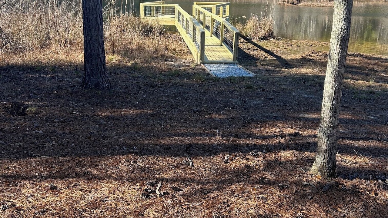 Photo of Outdoor in Georgia Coast