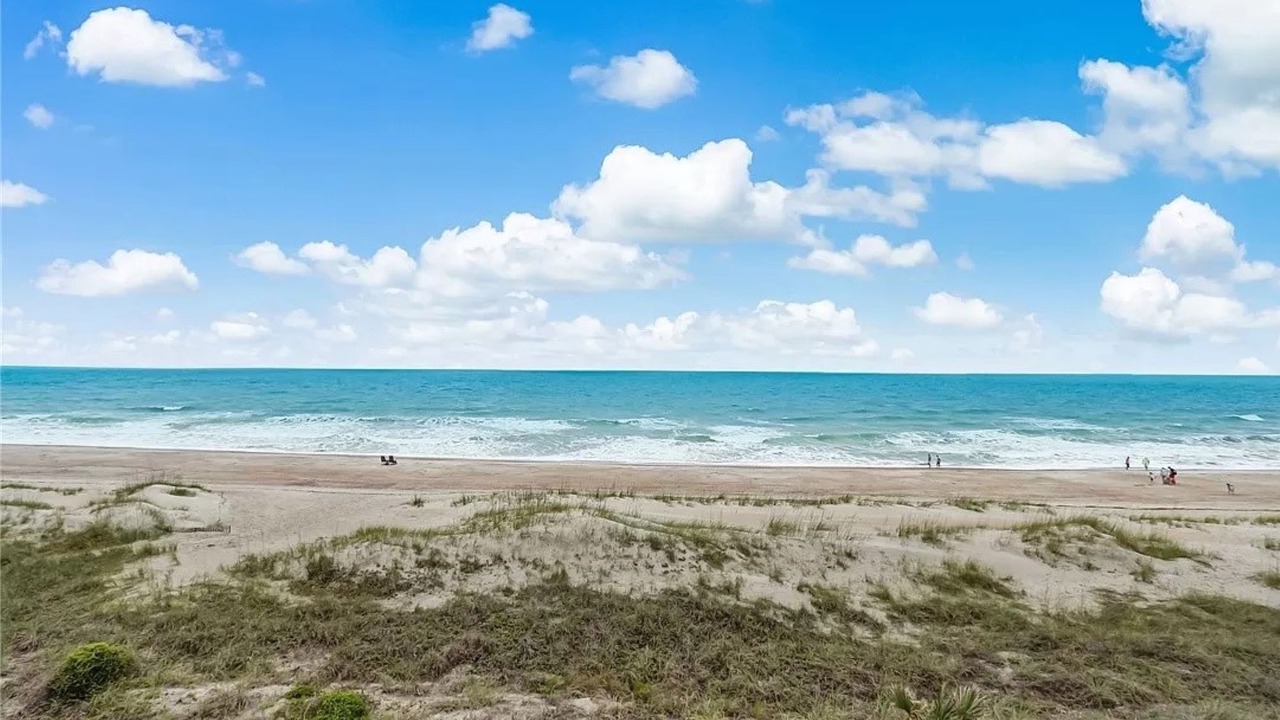 Photo of Others in Ocean Cay