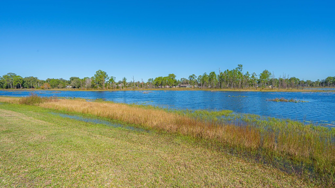 Photo of Others in Deltona Lakes