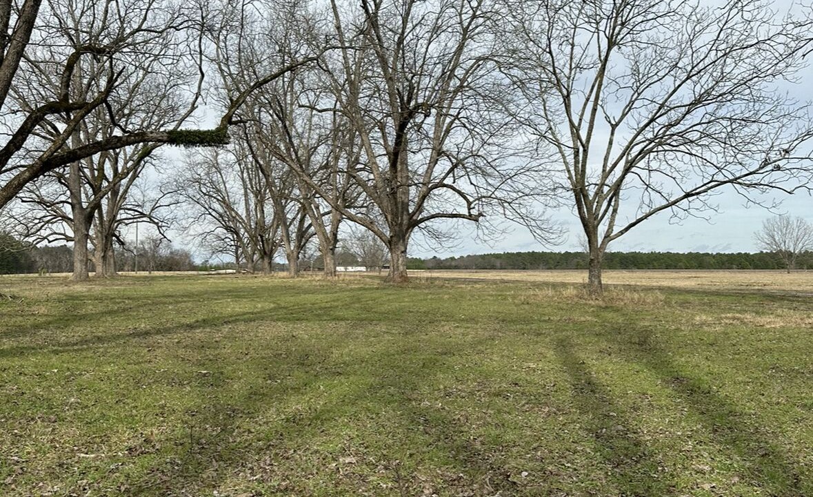Photo of Others in Marshallville