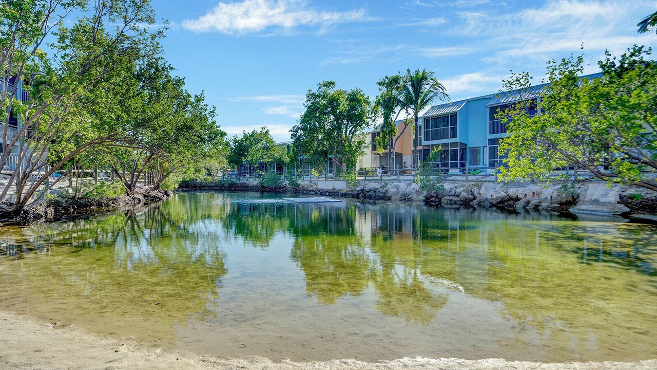 Photo of Others in Rock Harbor