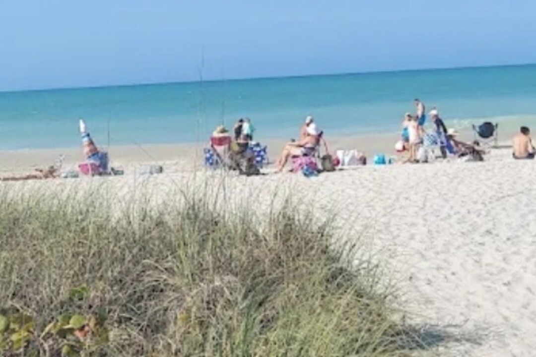 Photo of Others in Punta Gorda
