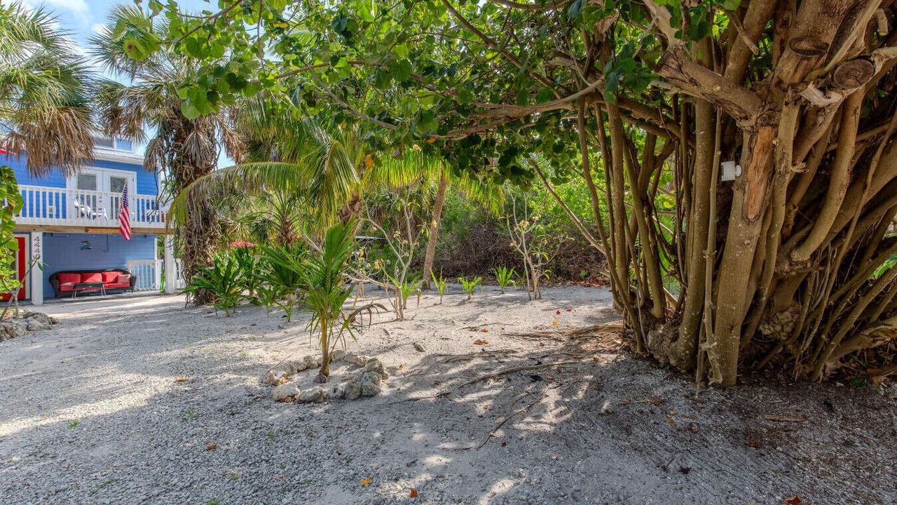 Photo of Outdoor in North Captiva