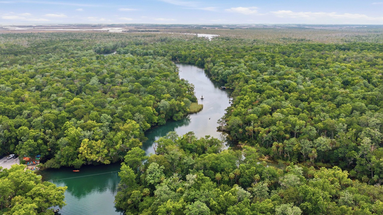 Photo of Outdoor in Chassahowitzka
