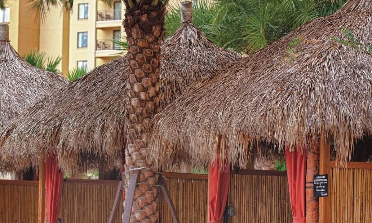 Photo of Outdoor in Lake Buena Vista