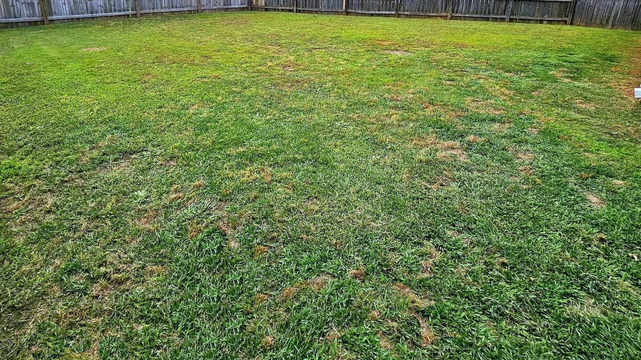 Photo of Others in Houston County