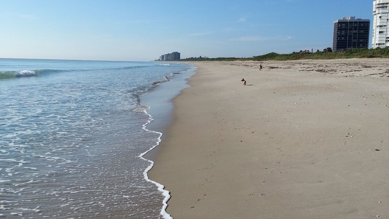 Photo of Others in Fort Pierce Shores