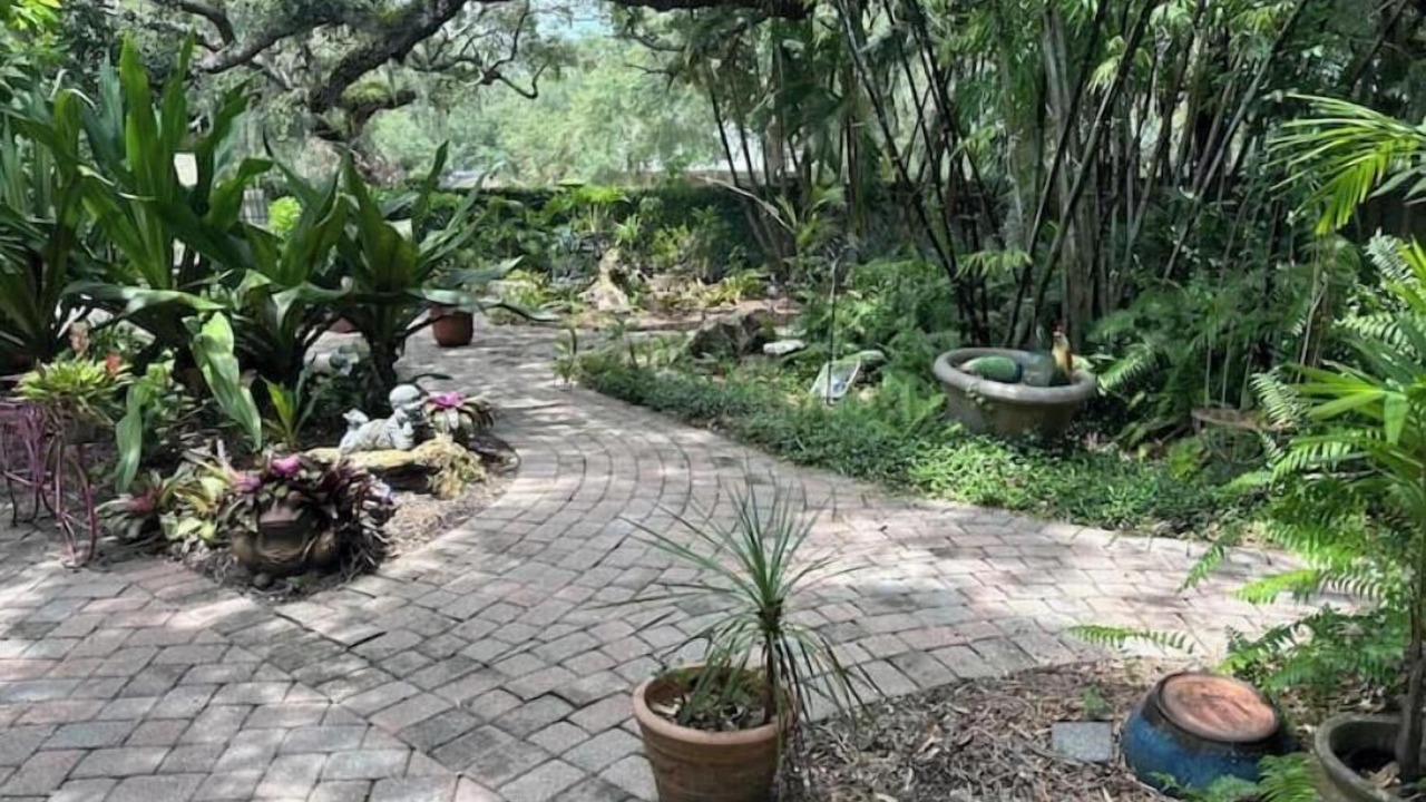 Photo of Outdoor in Lake Sarasota