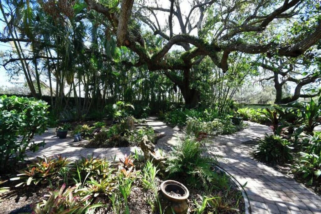 Photo of Outdoor in Lake Sarasota