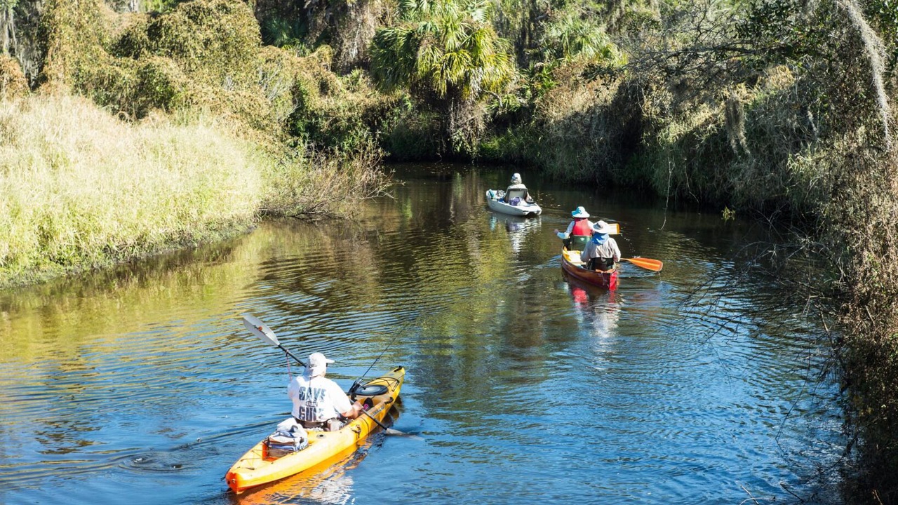 Photo of Others in Wimauma