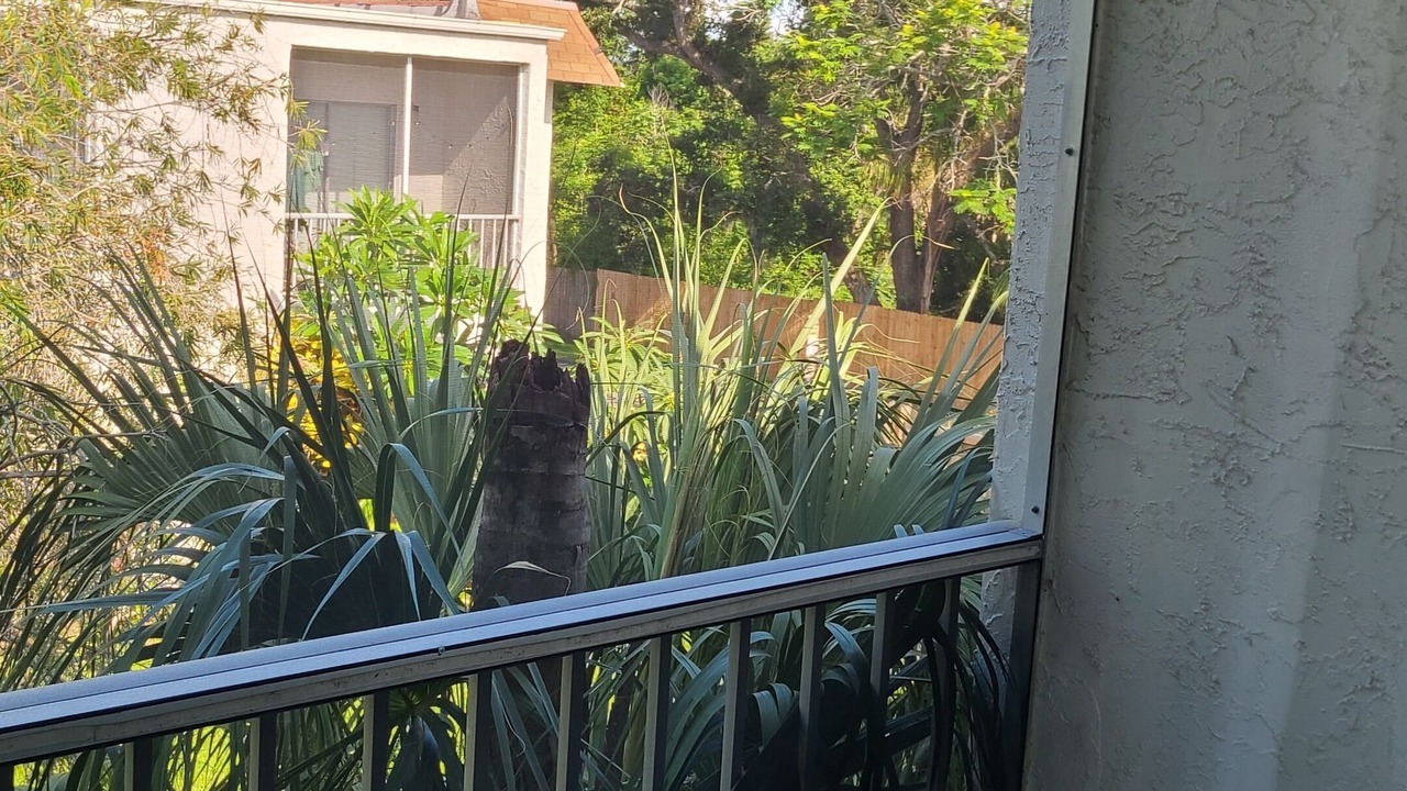 Photo of Outdoor in Clearwater