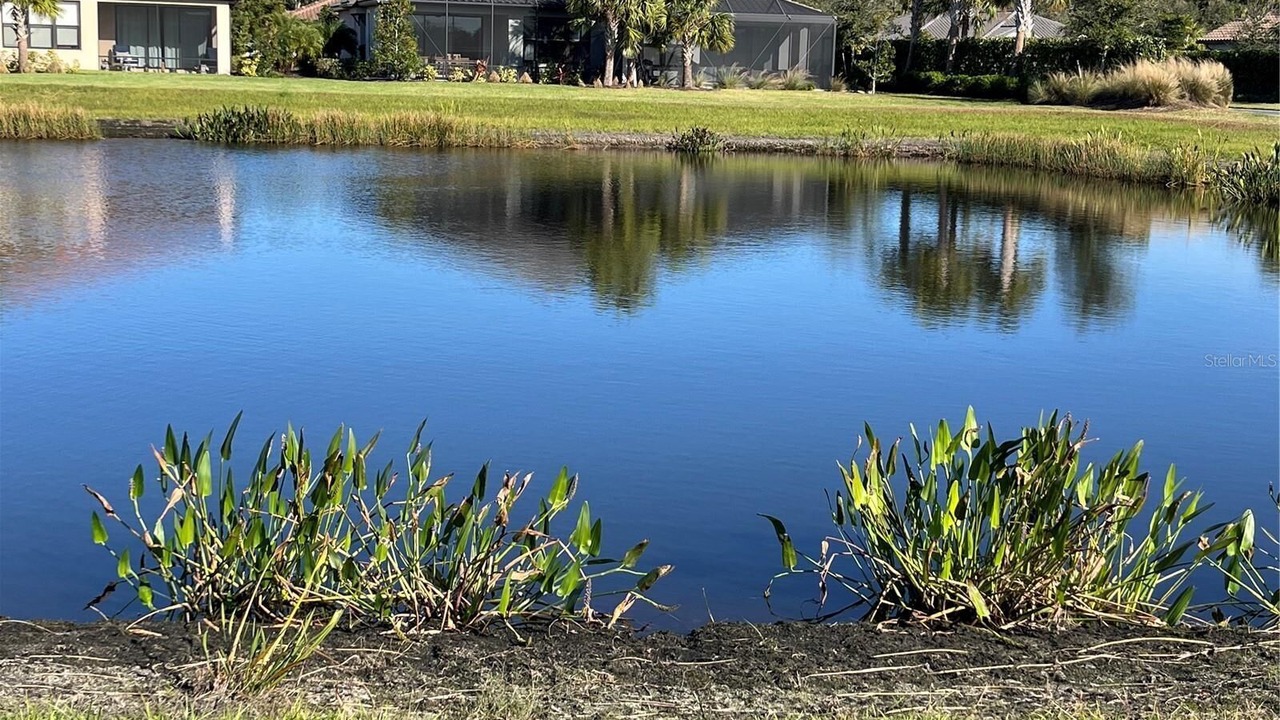 Photo of Outdoor in Sarasota
