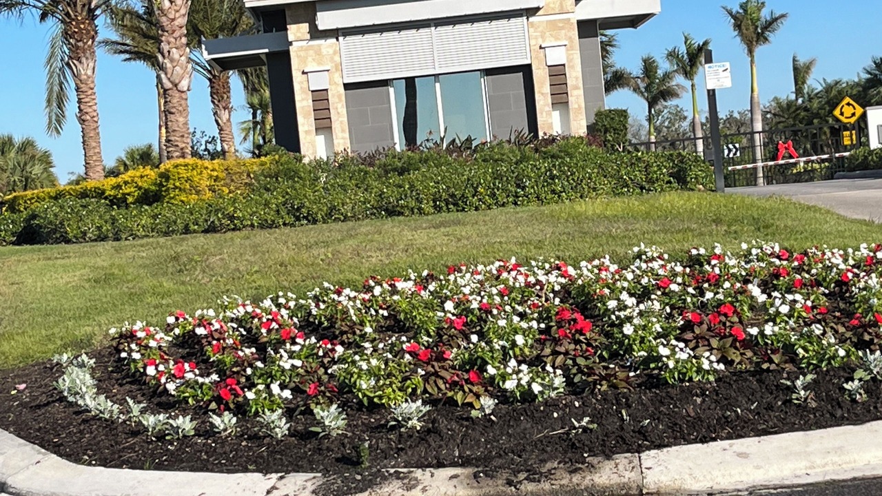 Photo of Outdoor in Sarasota