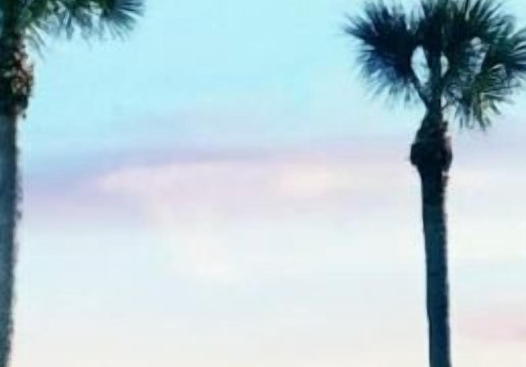 Photo of Others in Coquina Key