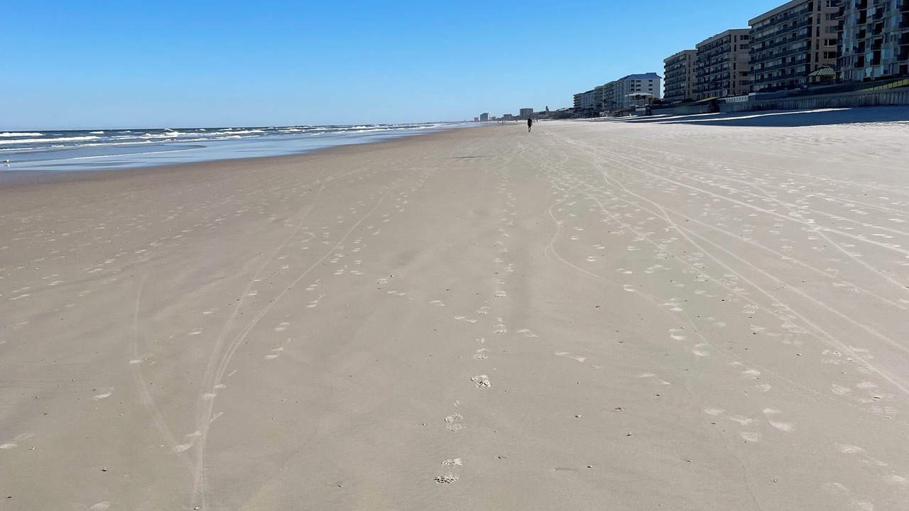 Photo of Others in Ponce Inlet