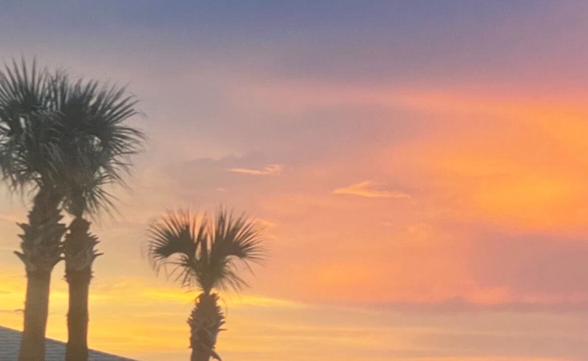 Photo of Others in Ponce Inlet