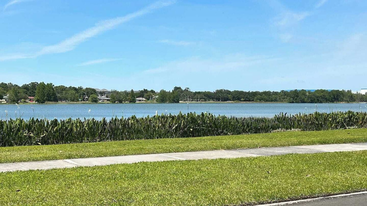 Photo of Outdoor in Dixieland