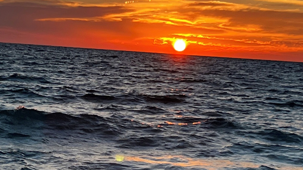 Photo of Others in Bradenton Beach