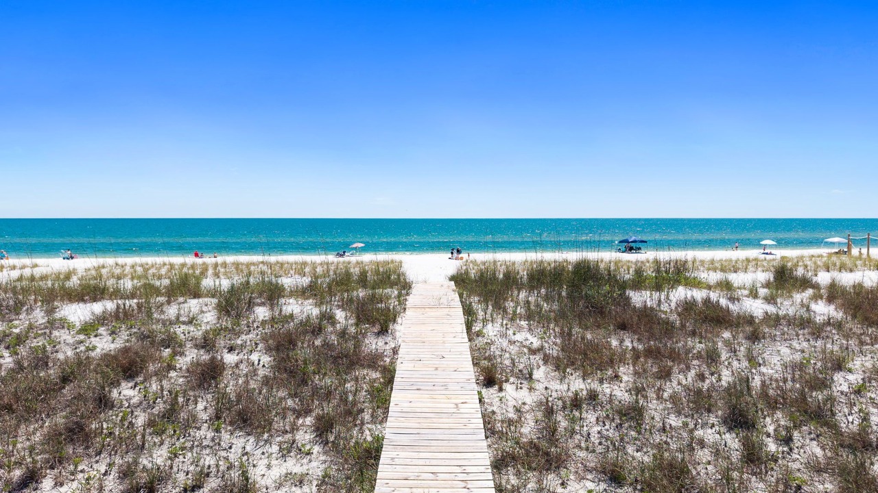 Photo of Others in Mexico Beach