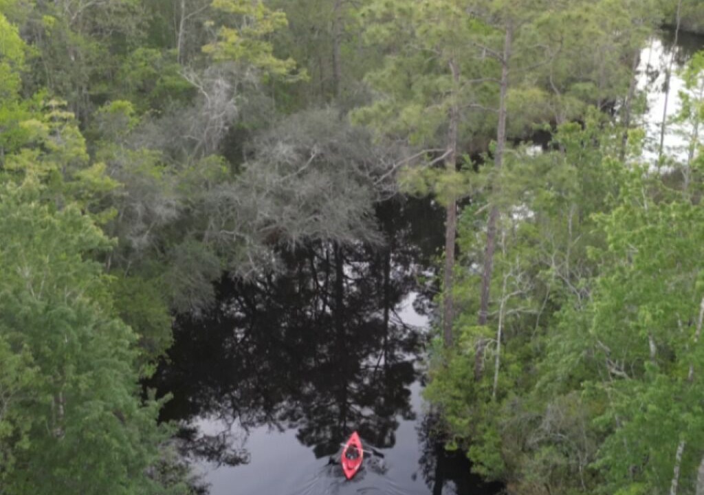 Photo of Others in Santa Rosa Beach