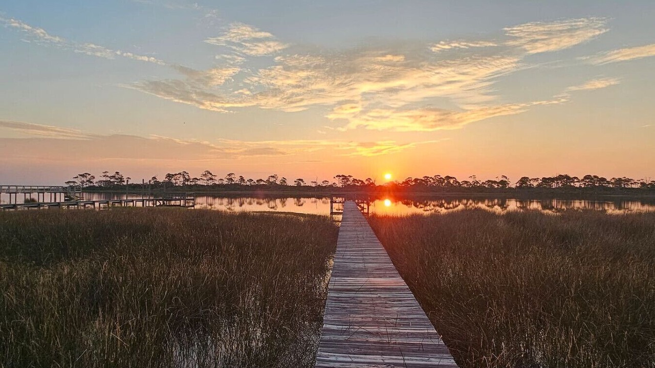 Photo of Others in Cape San Blas