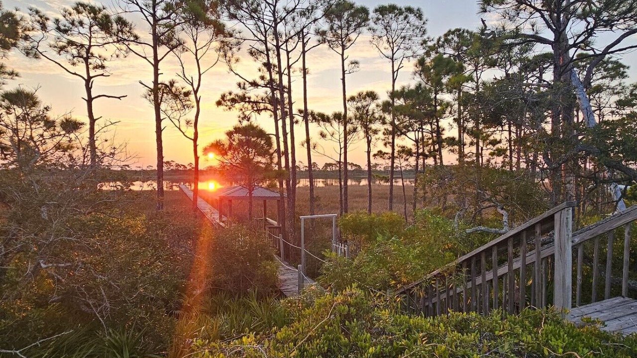 Photo of Others in Cape San Blas