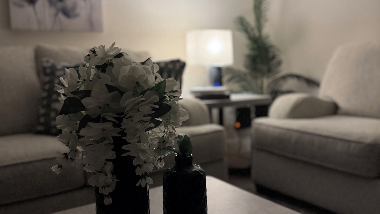 Photo of Livingroom in St. Petersburg
