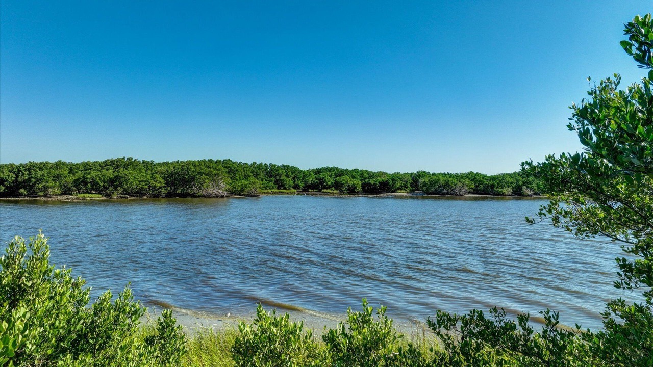 Photo of Others in Cedar Key