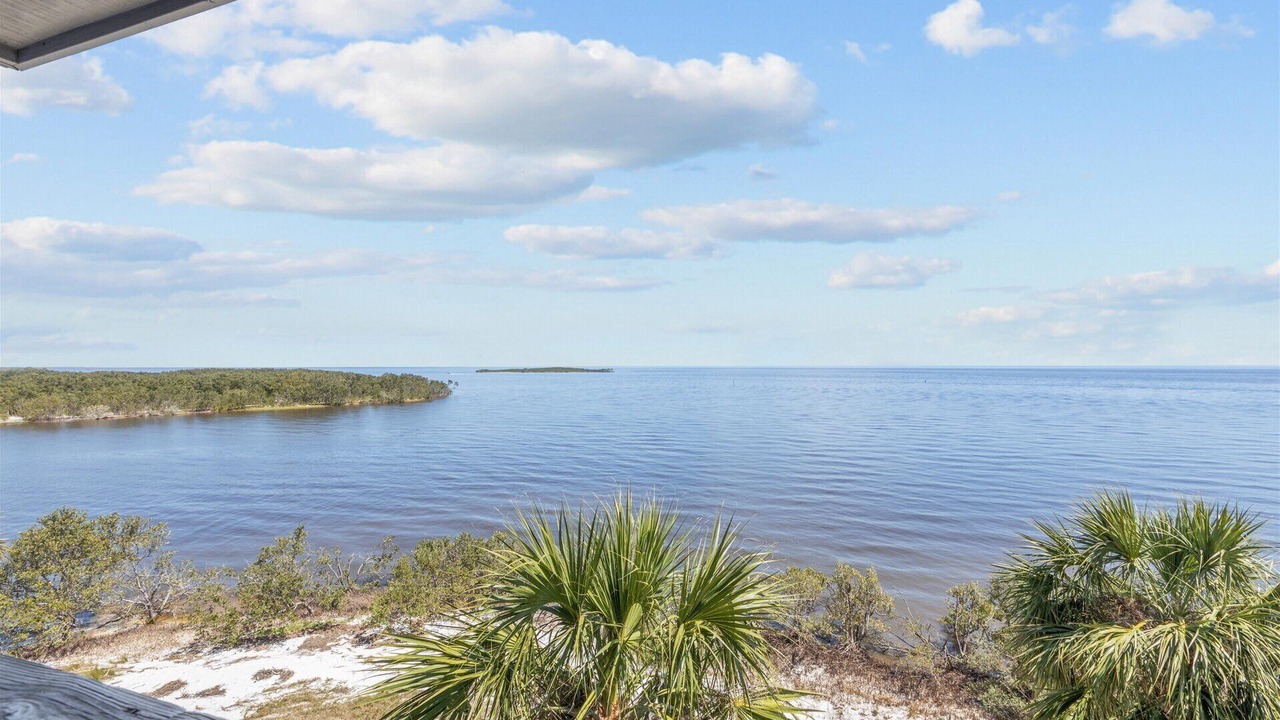 Photo of Others in Cedar Key