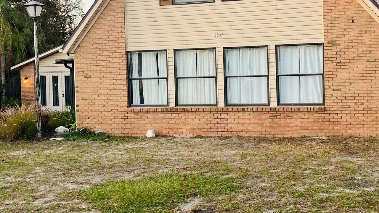 Photo of Outdoor in New Port Richey
