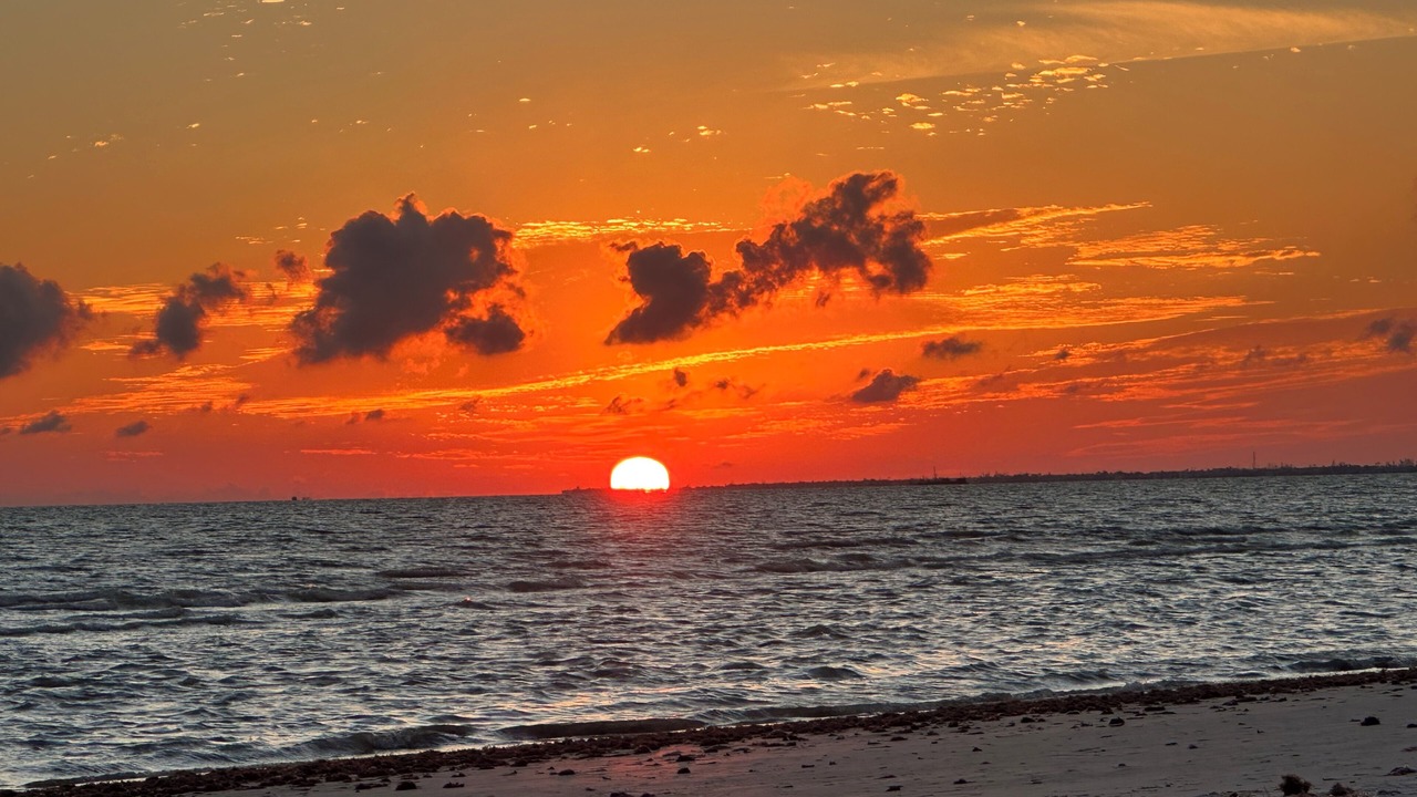 Photo of Others in Fort Myers Beach