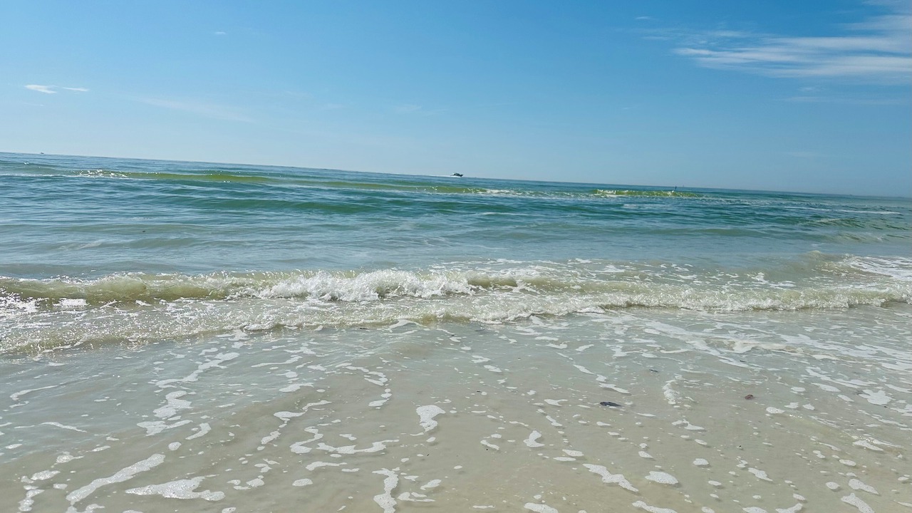 Photo of Others in Fort Myers Beach