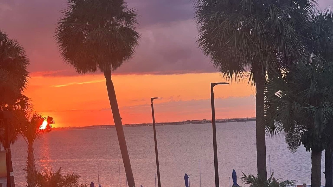 Photo of Others in Rocky Point