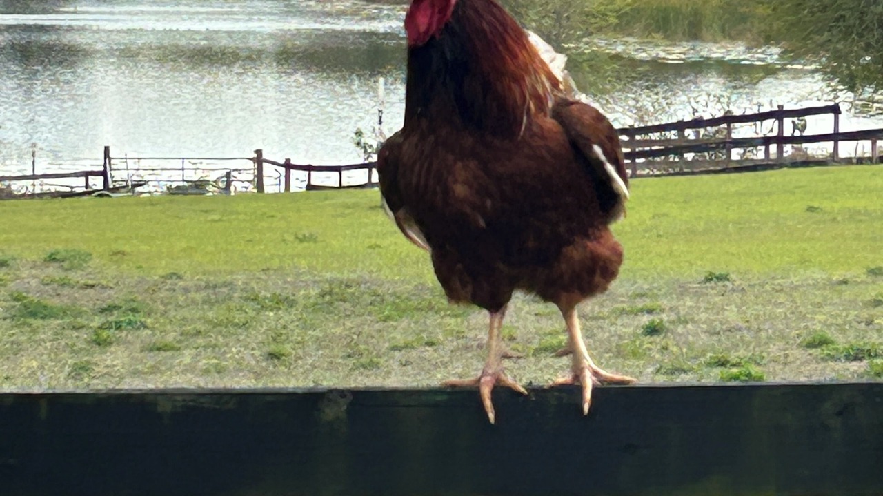 Photo of Others in Clermont