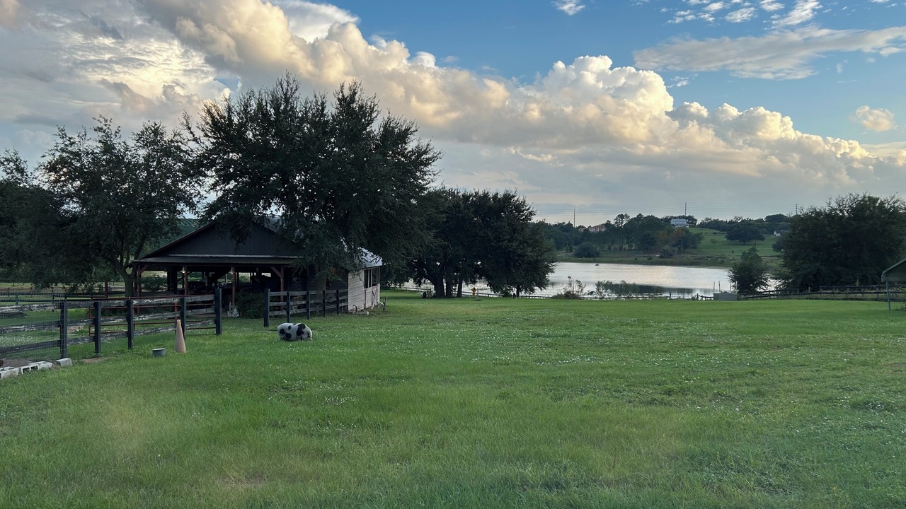Photo of Outdoor in Clermont