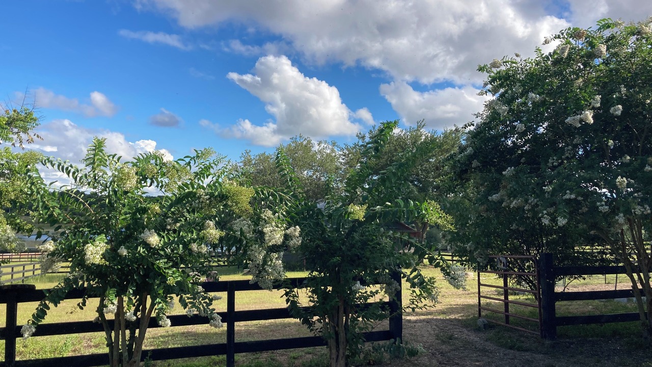 Photo of Outdoor in Clermont