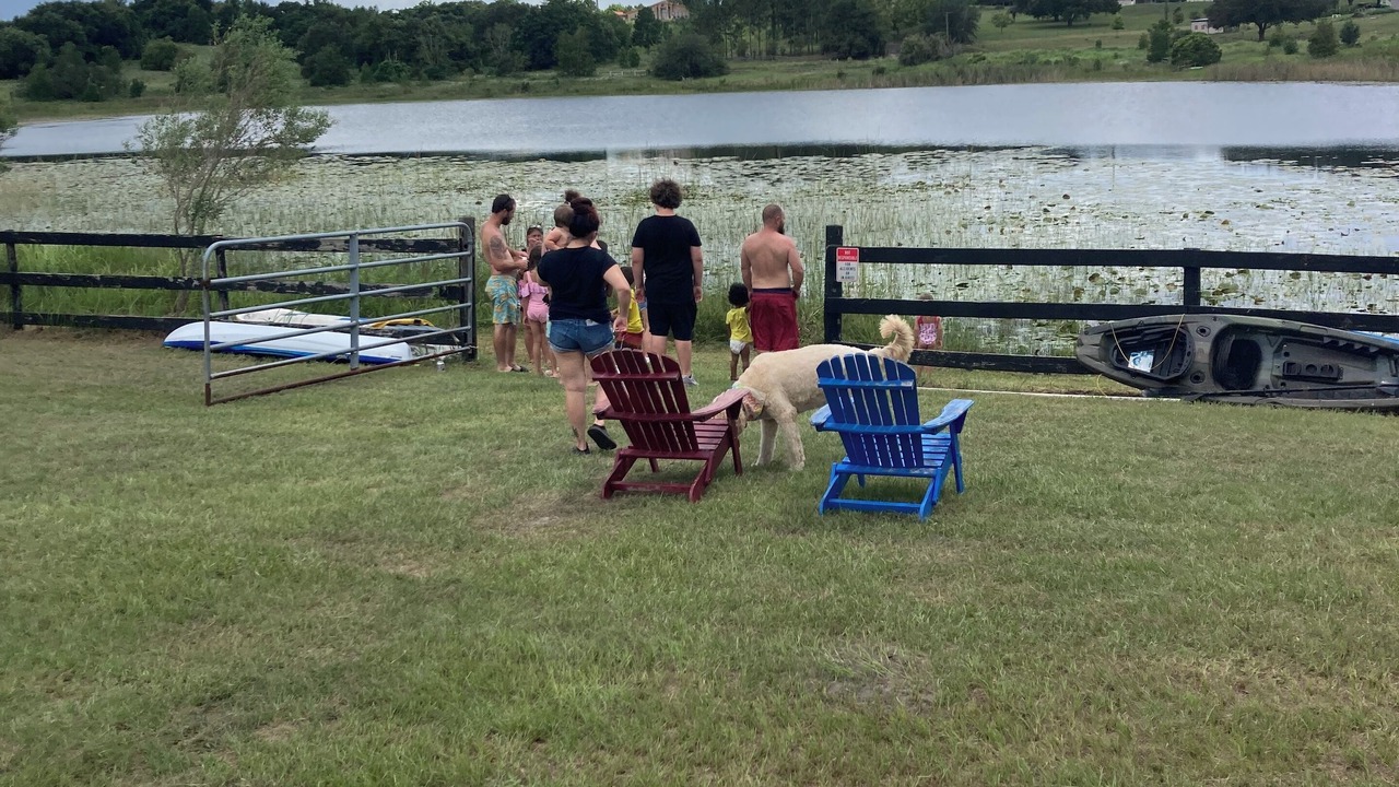 Photo of Others in Clermont