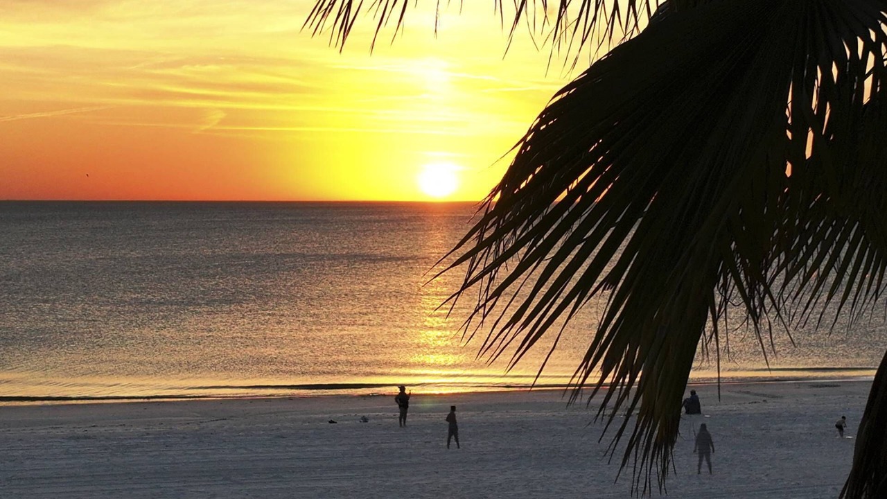 Photo of Others in Madeira Beach