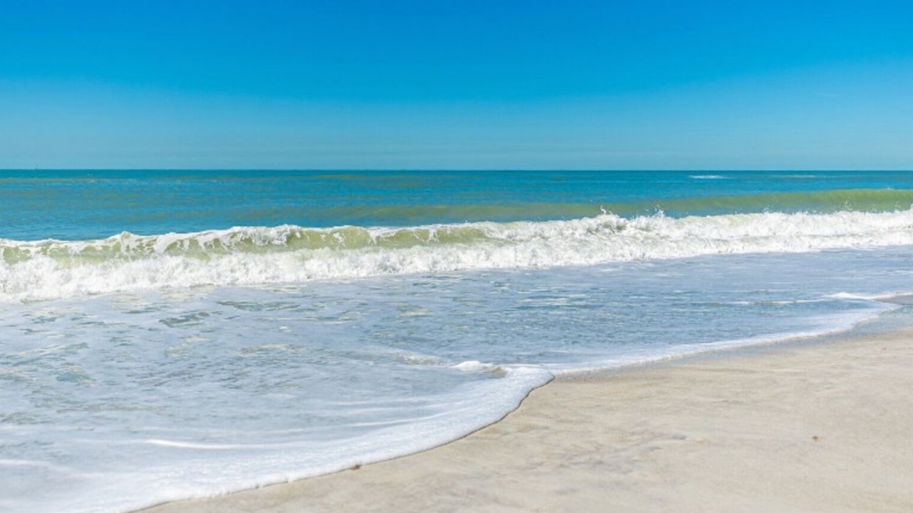 Photo of Others in Whitney Beach