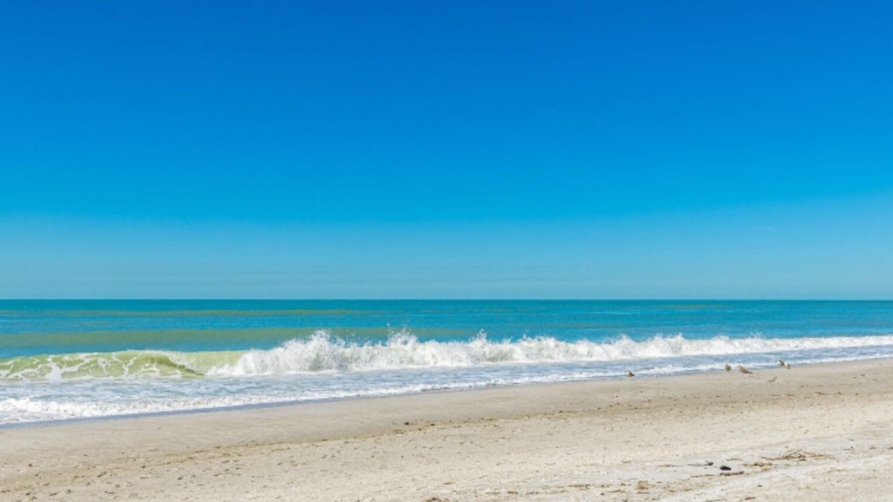 Photo of Others in Whitney Beach