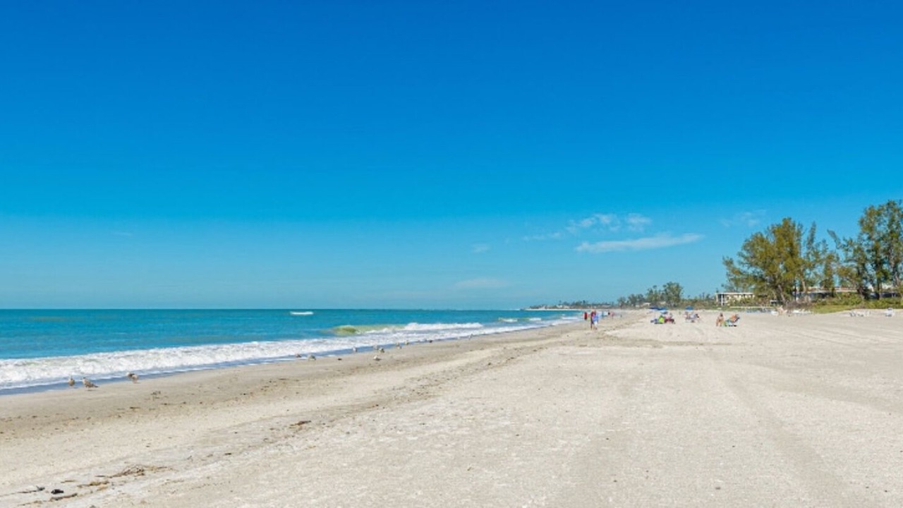 Photo of Others in Whitney Beach