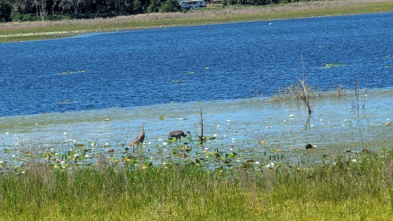 Photo of Others in Dunnellon