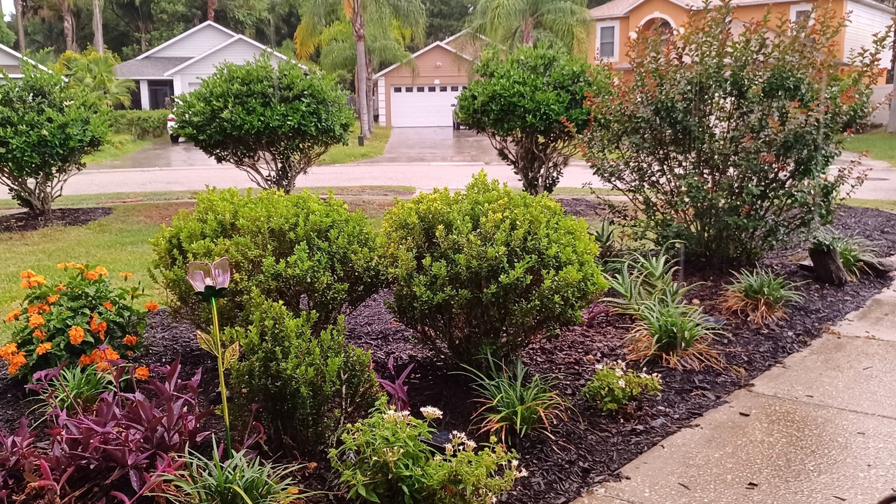 Photo of Outdoor in Sanford