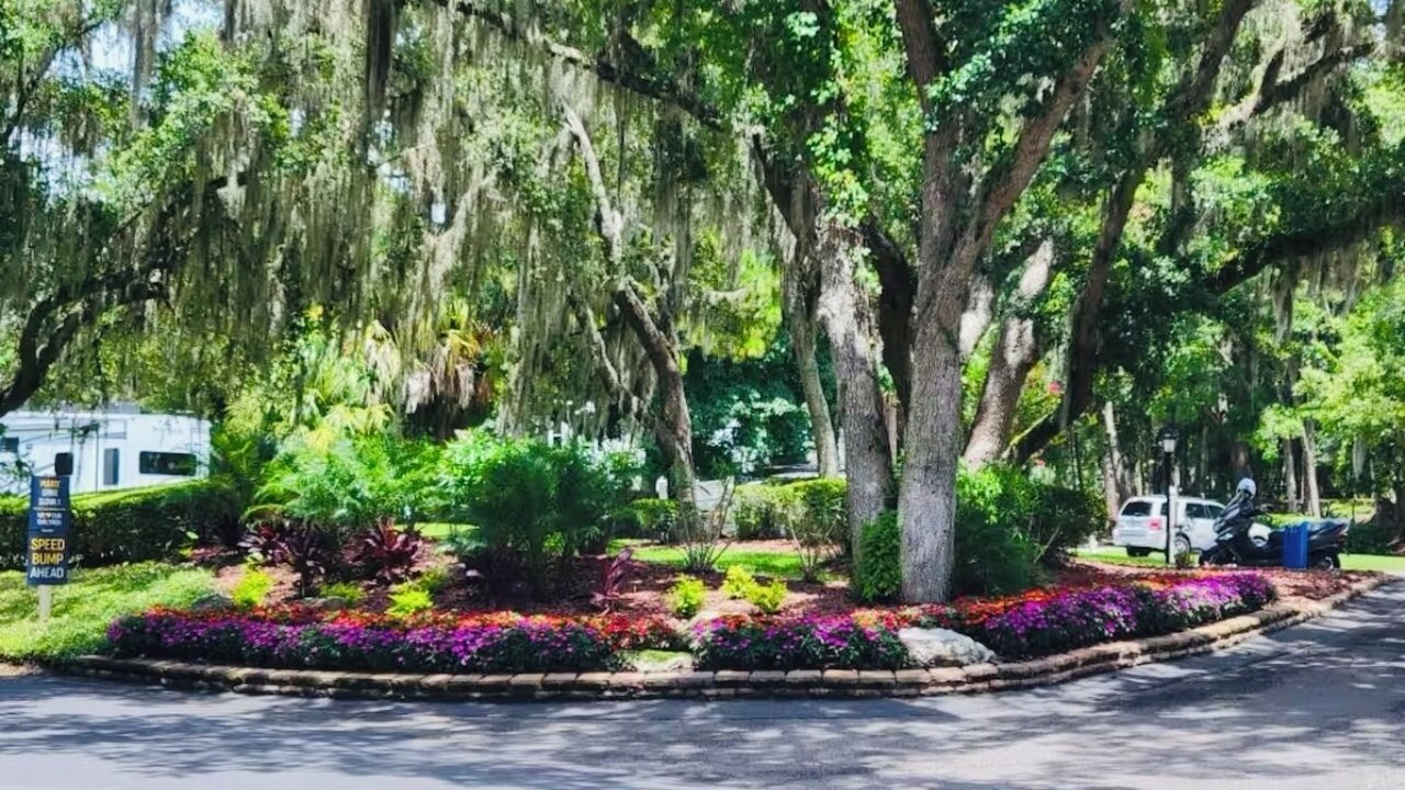 Photo of Outdoor in Crystal River