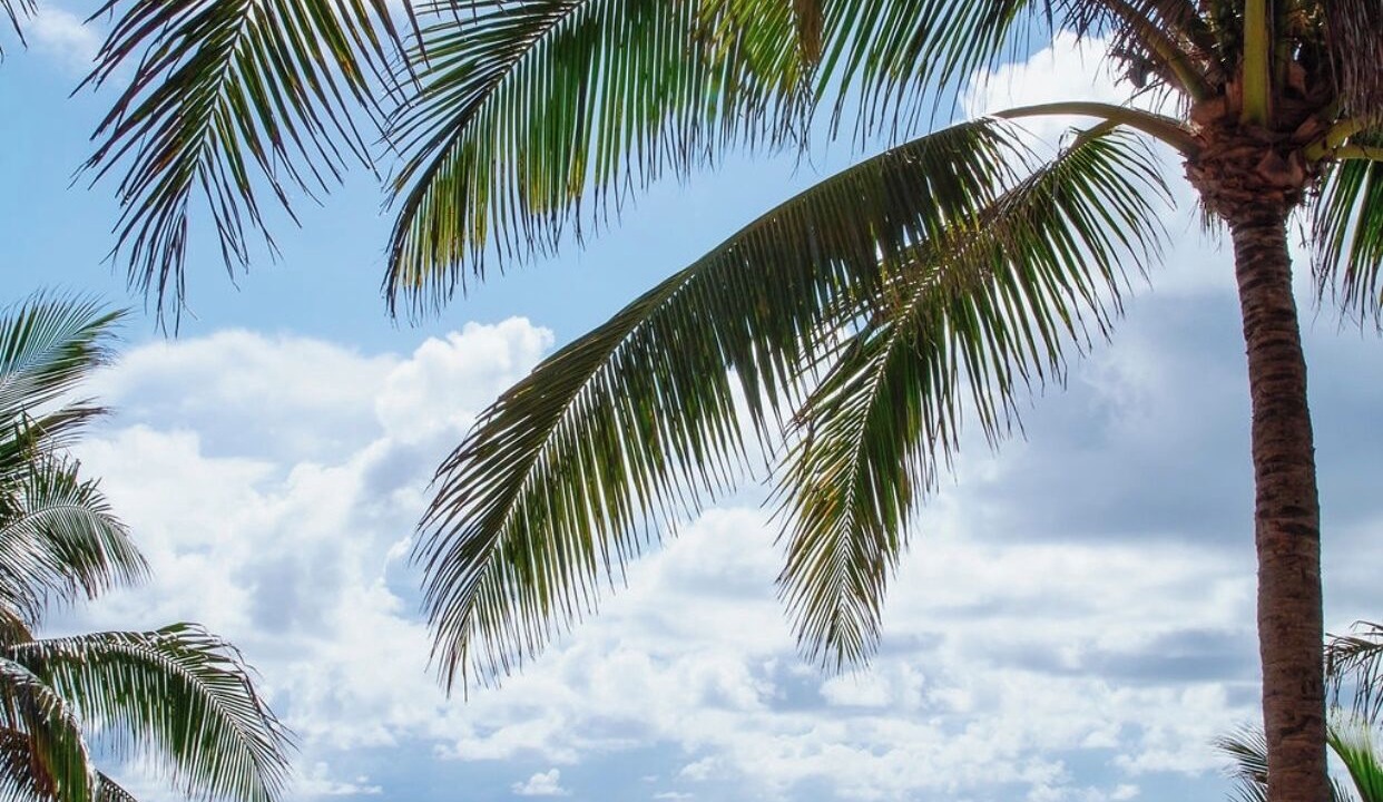 Photo of Others in Singer Island